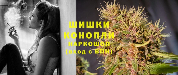 бошки Новозыбков